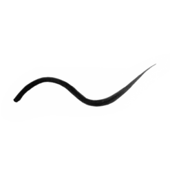 Precision Liquid Eyeliner