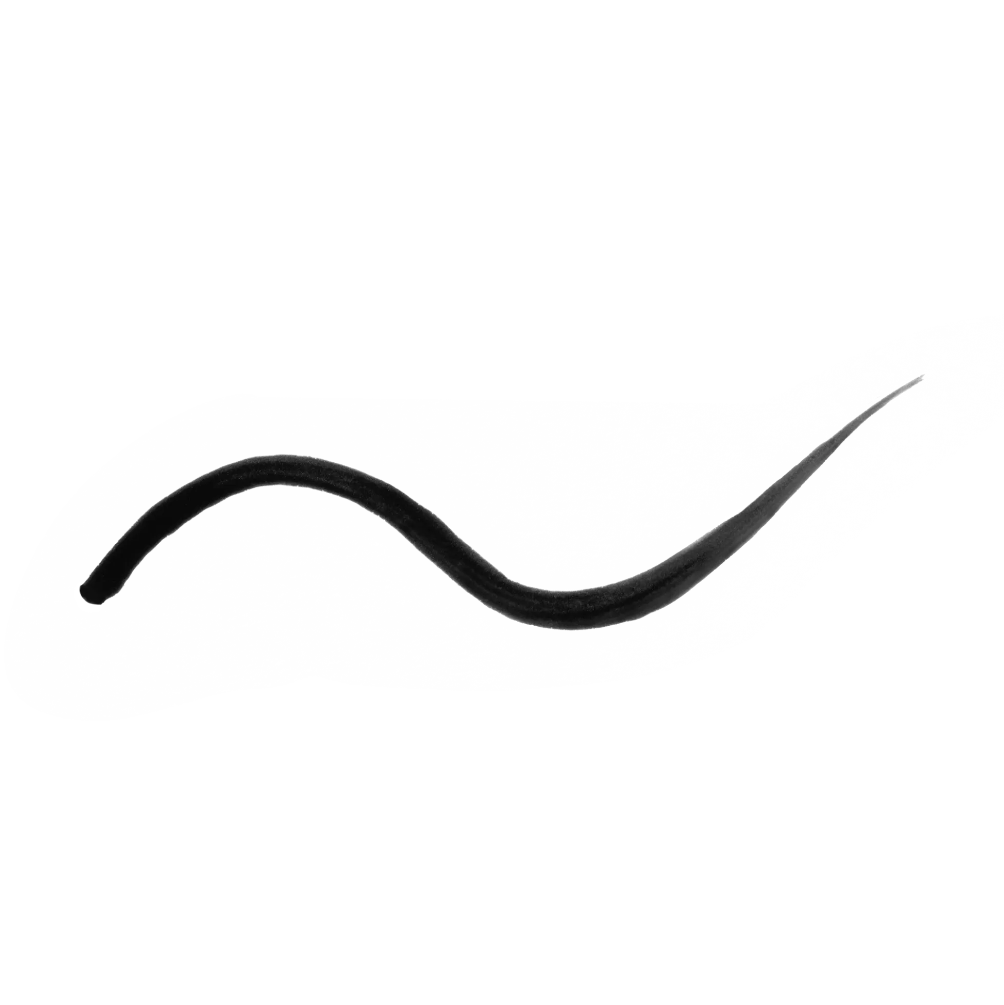 Precision Liquid Eyeliner