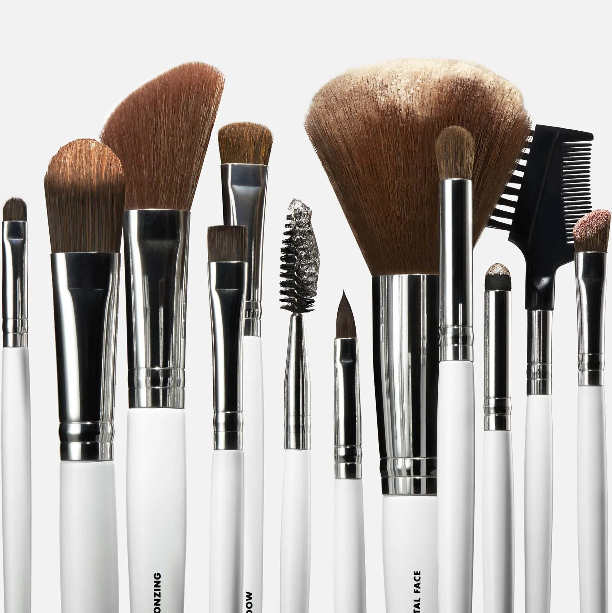 Professional Set of 12 Makeup Brushes