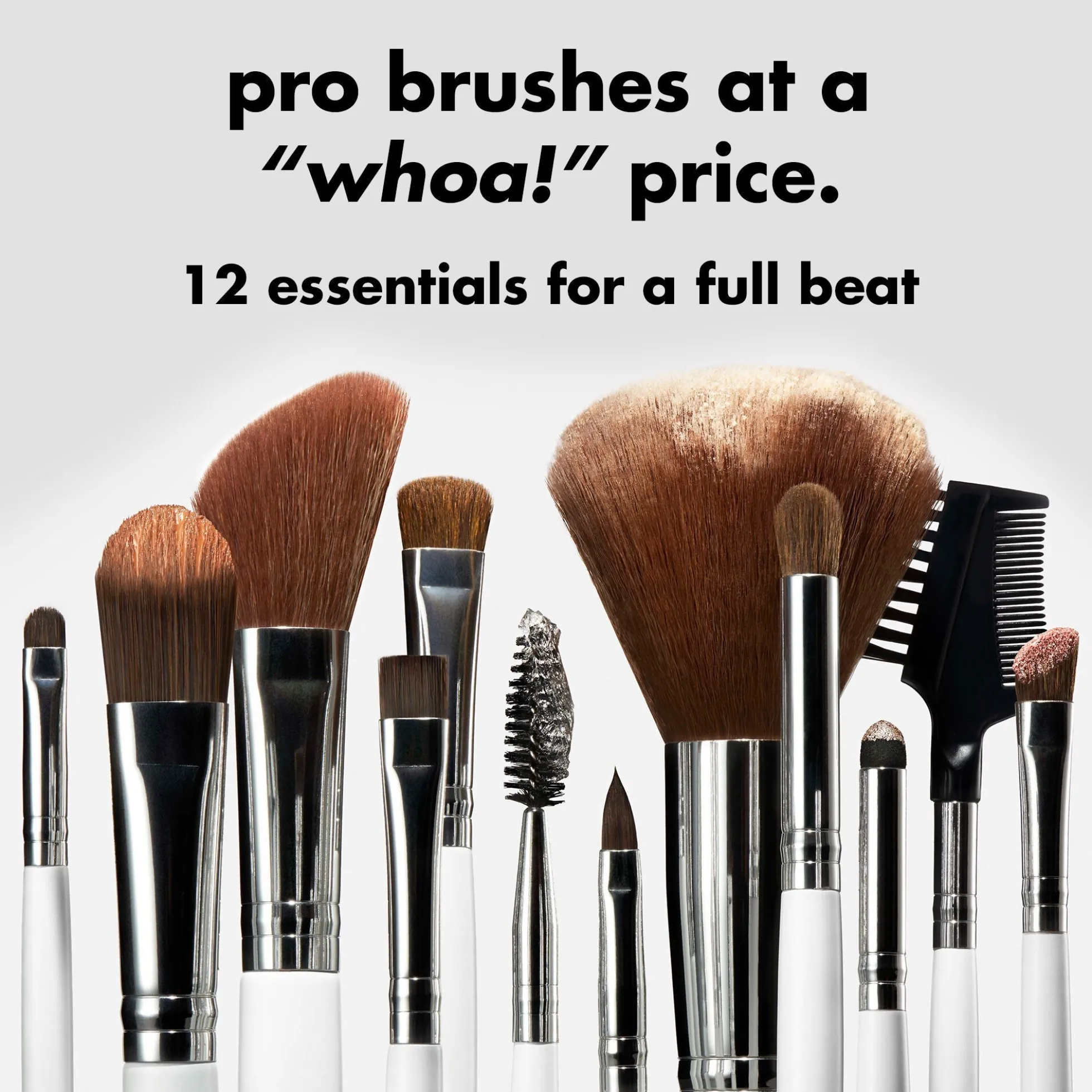 Professional Set of 12 Makeup Brushes
