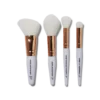 Rose Gold Travel Brush Kit